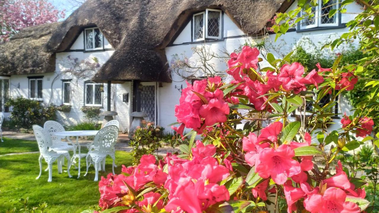 Bed & Breakfast Thatched Eaves Ibsley